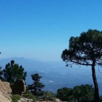 Hiking in the pine forests of Sierra Bermeja, Estepona's local mountain